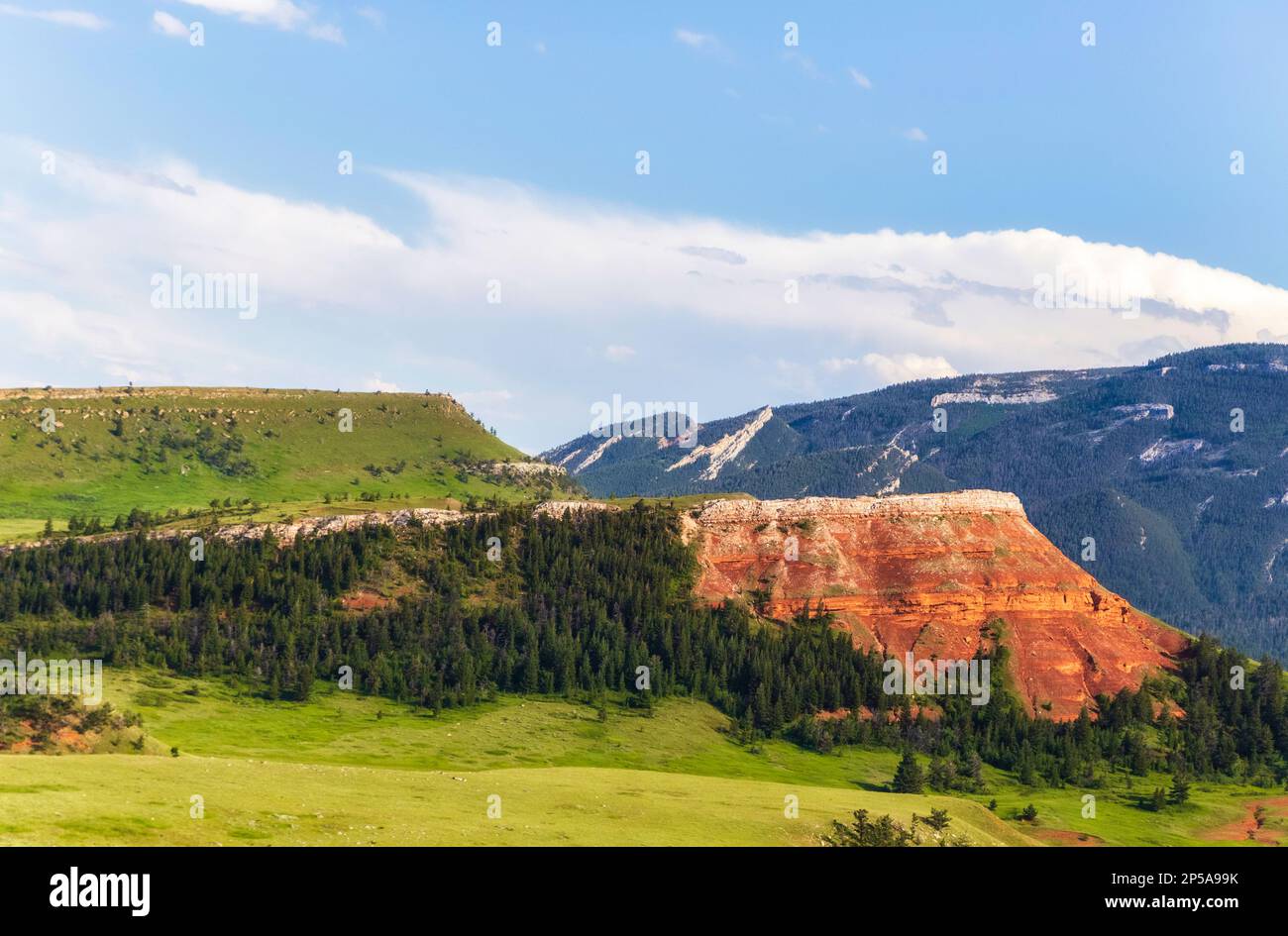 Stratificato di roccia rossa che fronteggia una valle verde e montagne ricoperte di alberi lungo l'autostrada Capo Joseph in un paesaggio del Wyoming Foto Stock