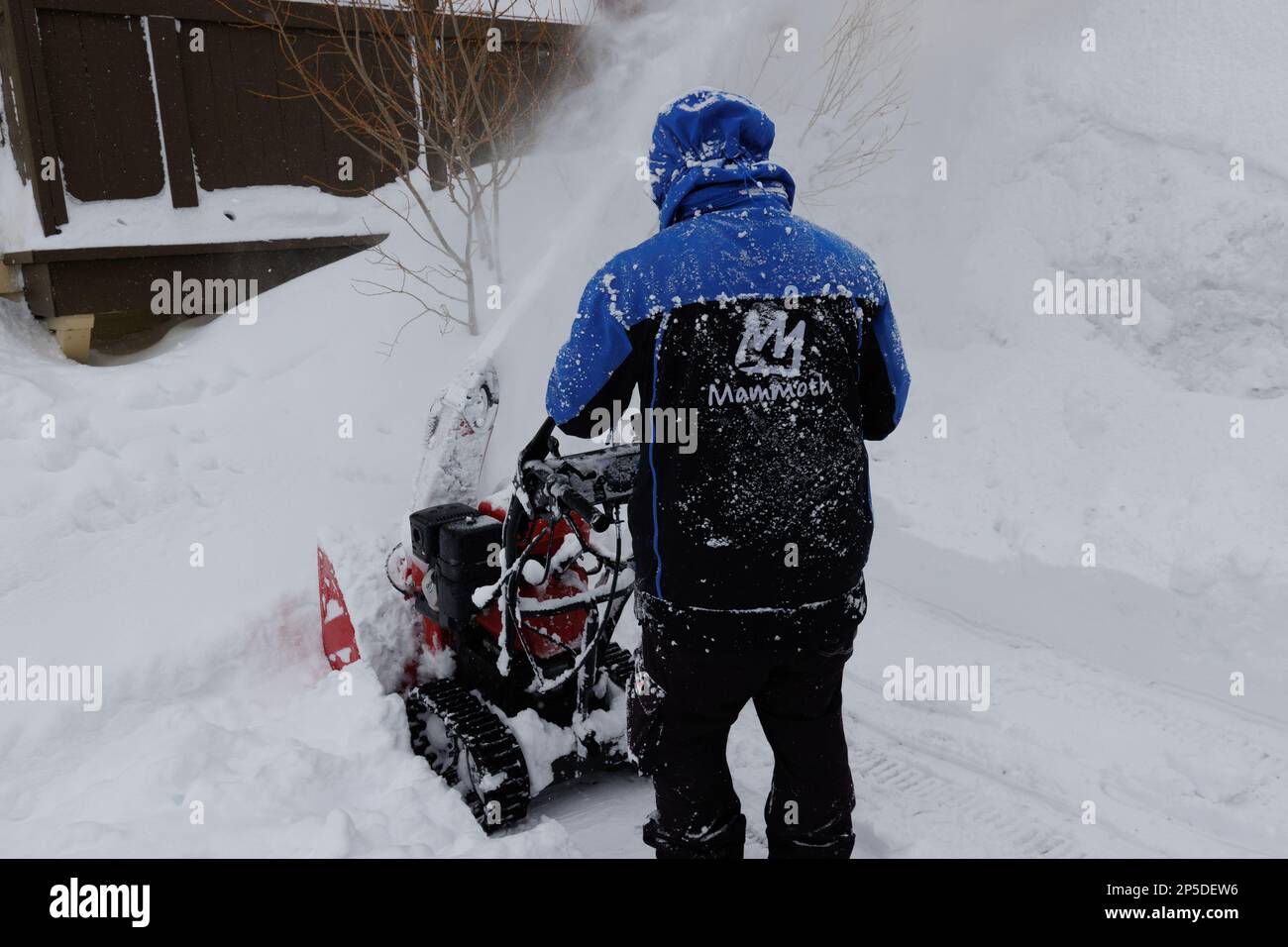 Un uomo utilizza una macchina per la rimozione della neve per pulire un vialetto di accesso quando la neve cade durante una bufera di neve a Mammoth Lakes, California. Foto Stock
