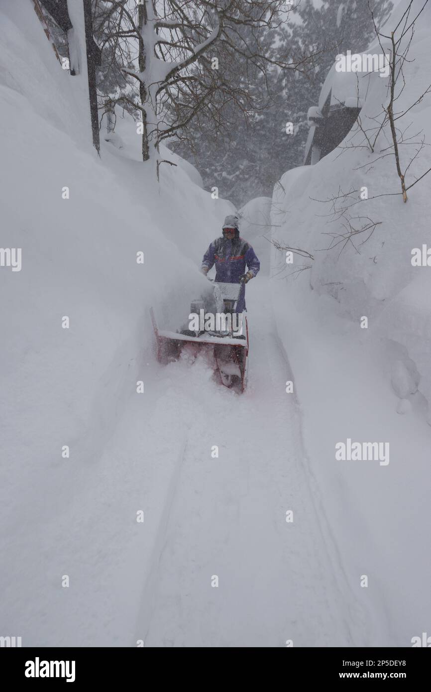 Un uomo utilizza una macchina per la rimozione della neve per pulire un vialetto di accesso quando la neve cade durante una bufera di neve a Mammoth Lakes, California. Foto Stock