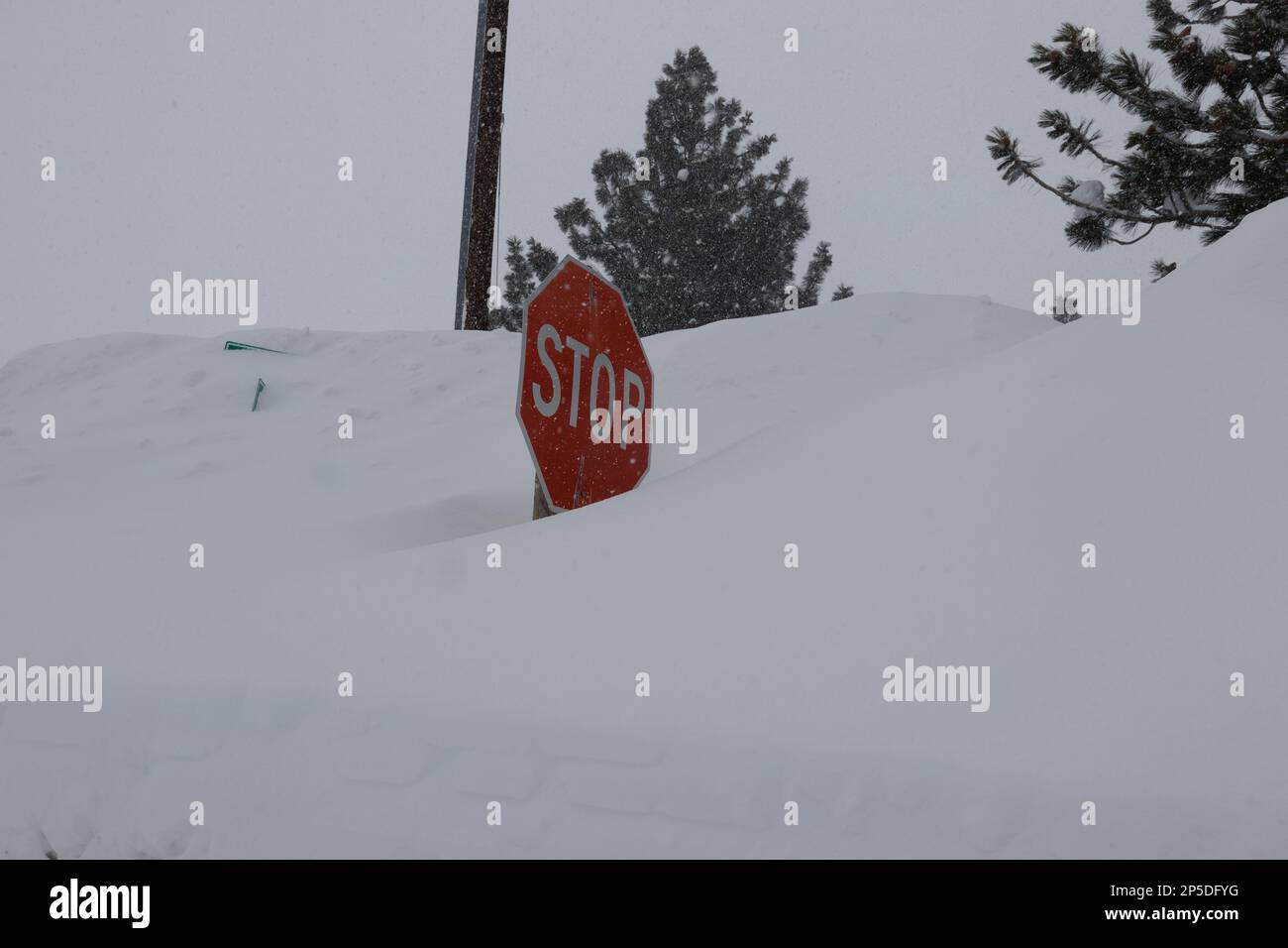 Mammoth Lakes, California. Febbraio 27, 2023. Una Blizzard invernale cade da 3 a 4 piedi di neve sui Laghi di Mammoth, California. Foto Stock