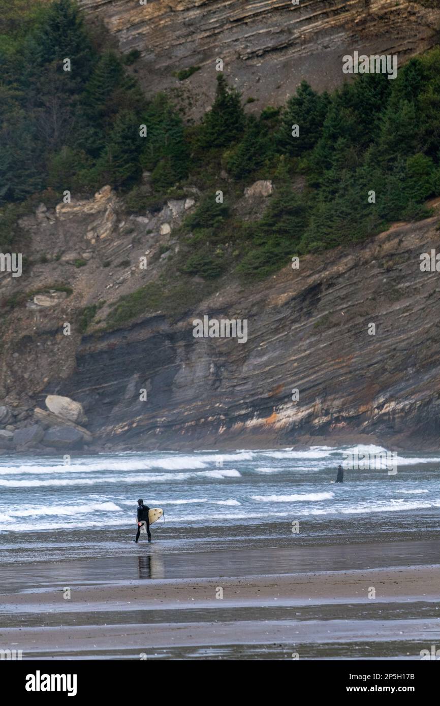 Un paio di surfisti entra in acqua con la sua tavola, all'Oswald West state Park Foto Stock