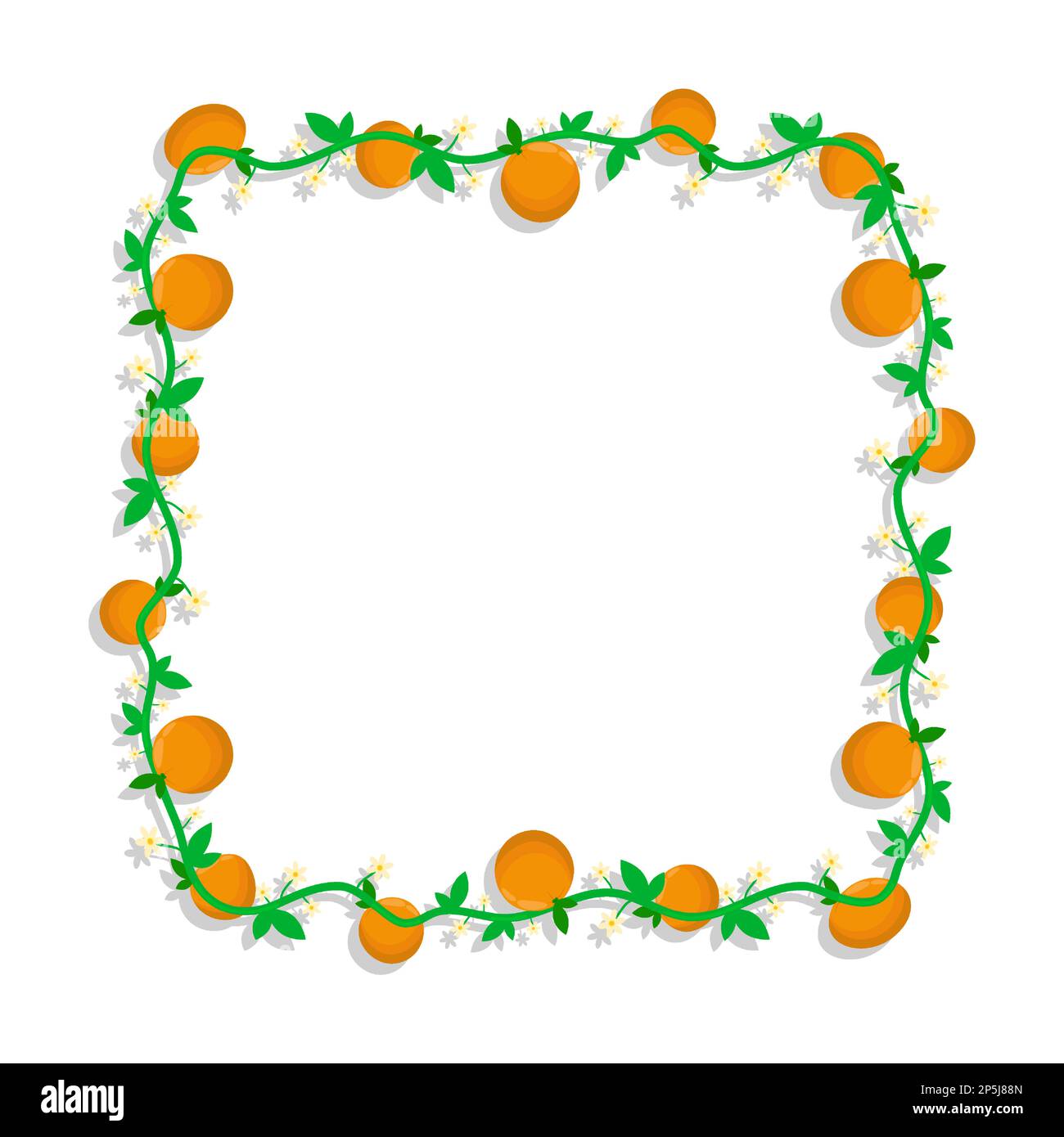Cornice quadrata con frutta di mandarino e rami d'arancio in fiore. Bordo di tessitura isolato su sfondo bianco. Elemento decorativo vettoriale Illustrazione Vettoriale