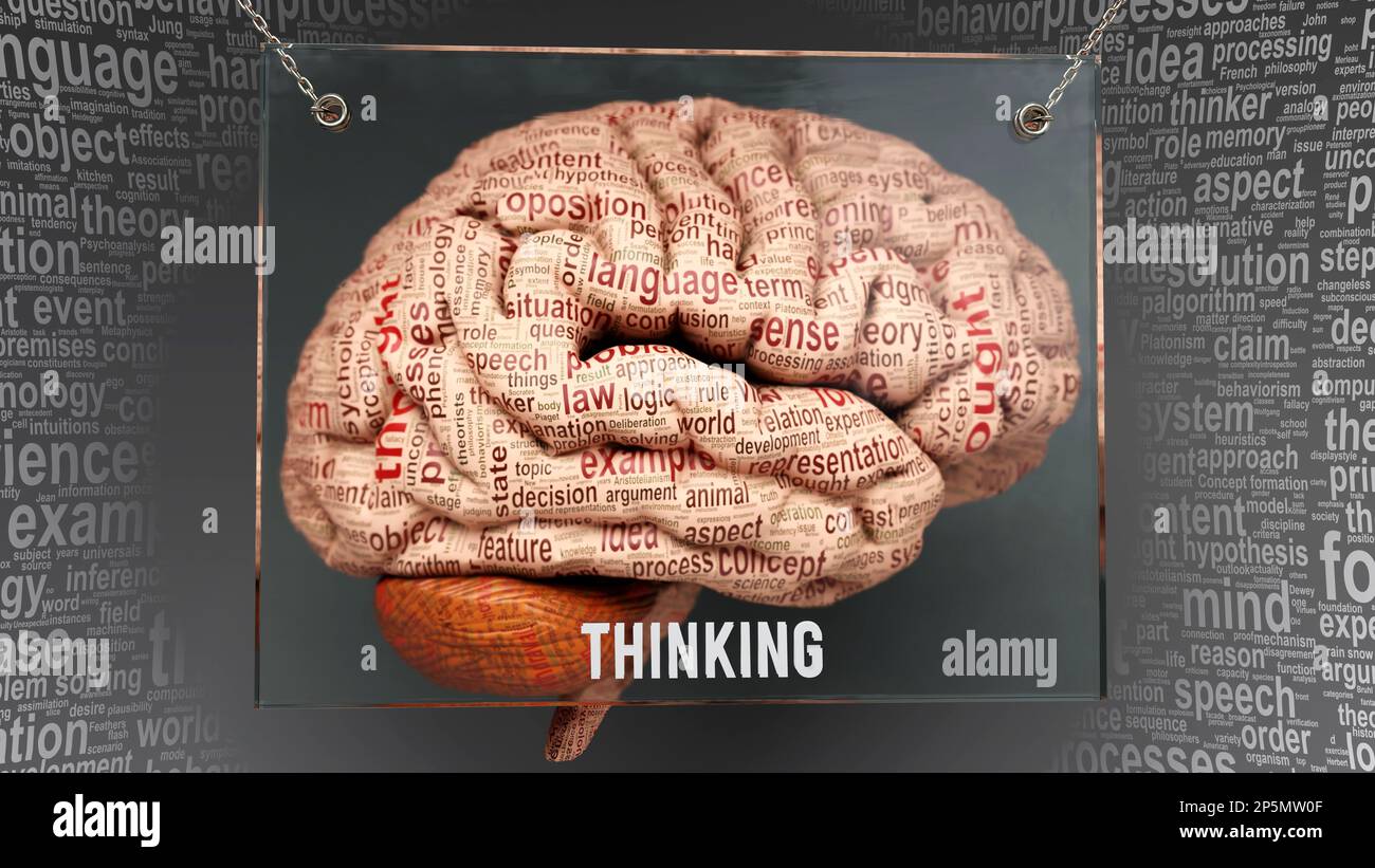 Pensare nel cervello umano - dozzine di termini importanti che descrivono le proprietà di pensiero e le caratteristiche verniciate sopra la corteccia cerebrale per simbolizzare co di pensiero Foto Stock
