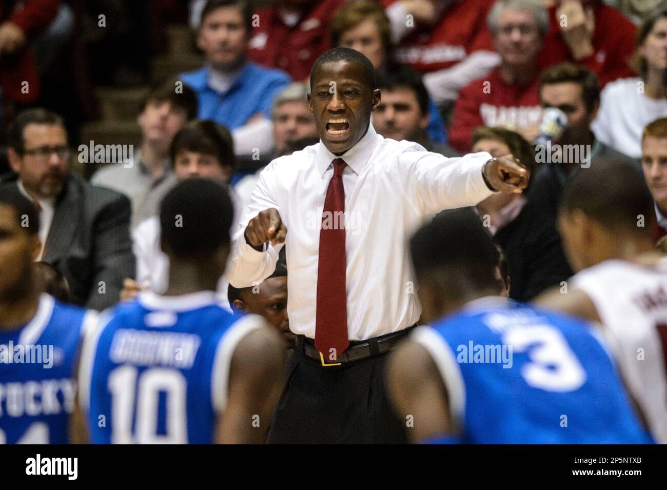 Alabama head coach Anthony Grant signals in during the Alabama Crimson Tide's NCAA SEC basketball game with the Kentucky Wildcats, Tuesday, Jan. 22, 2013, at Coleman Coliseum in Tuscaloosa, Ala. Alabama won another wild nail-biter, keyed by defense, 58-55, to go to 4-1 on the SEC year. (AP Photo/Birmingham News, Vasha Hunt) Foto Stock