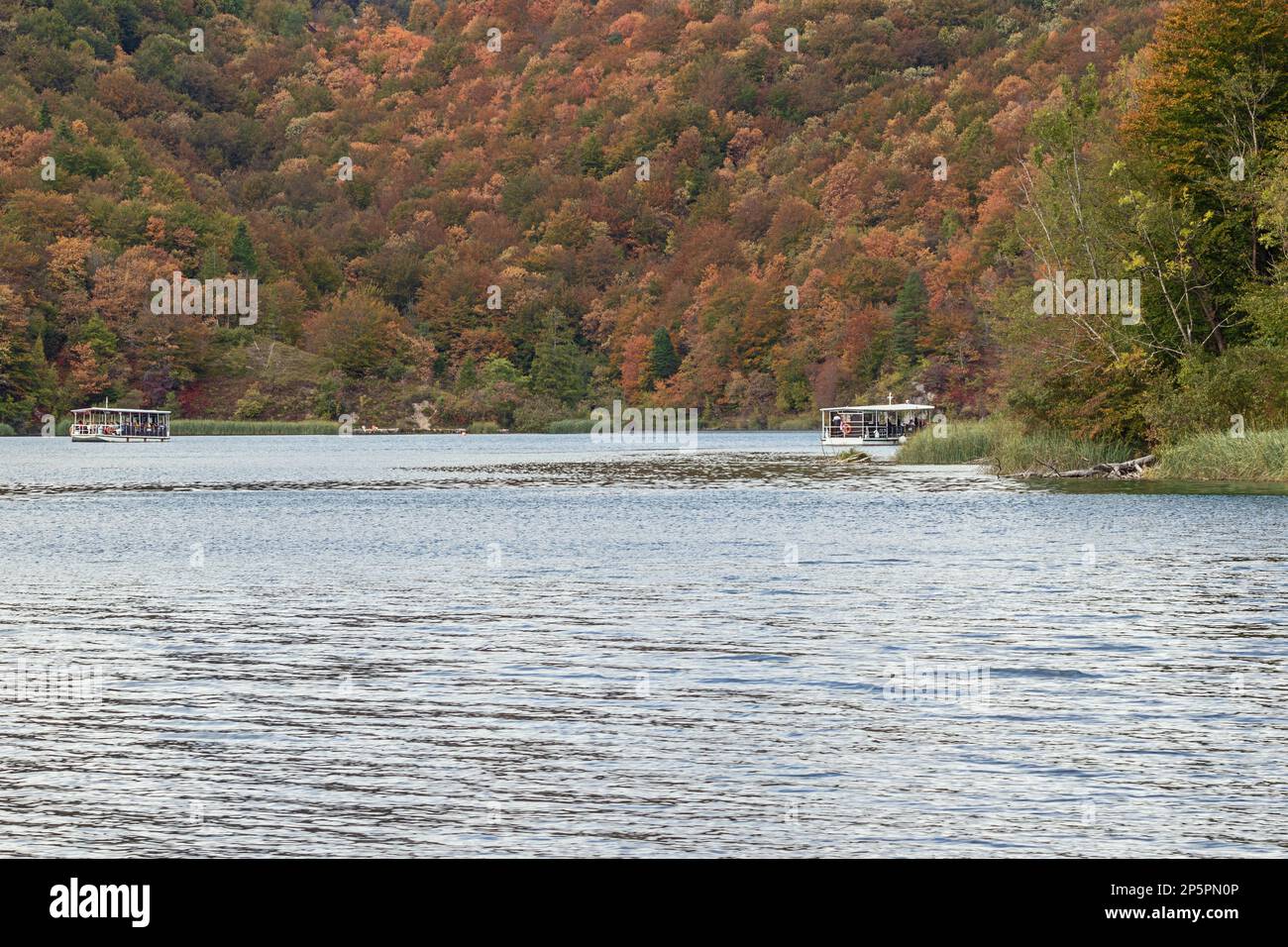 Barche con turisti che navigano nei laghi di Plitvice circondate da colori autunnali luminosi Foto Stock
