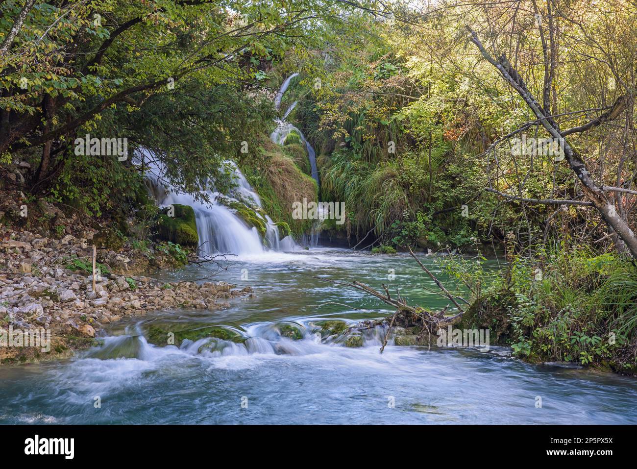Piccola cascata nella foresta nel Parco Nazionale dei Laghi di Plitvice Foto Stock
