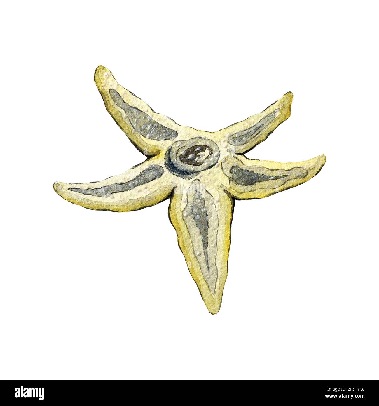 Acquerello illustrazione di una stella gialla Foto Stock