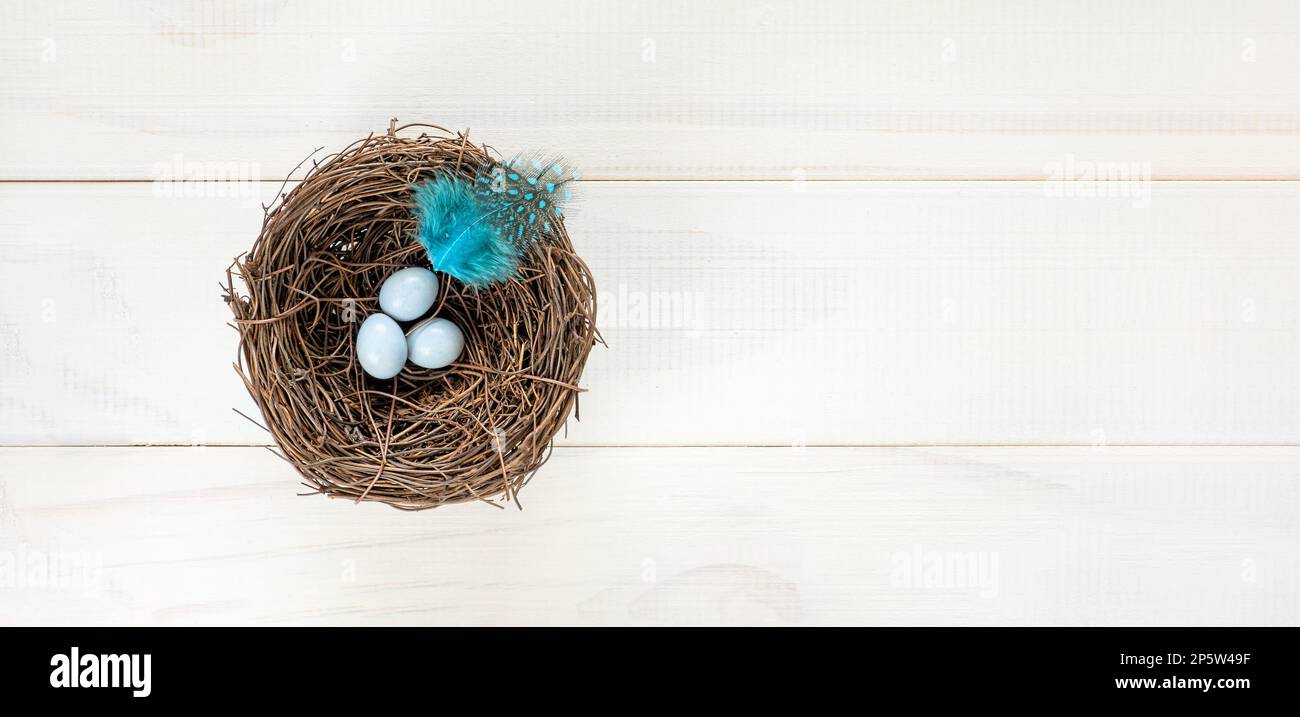 Tre piccole uova di uccello blu chiaro in nido naturale, su fondo di legno bianco. Concetto di Pasqua con spazio copia, vista dall'alto, banner Foto Stock