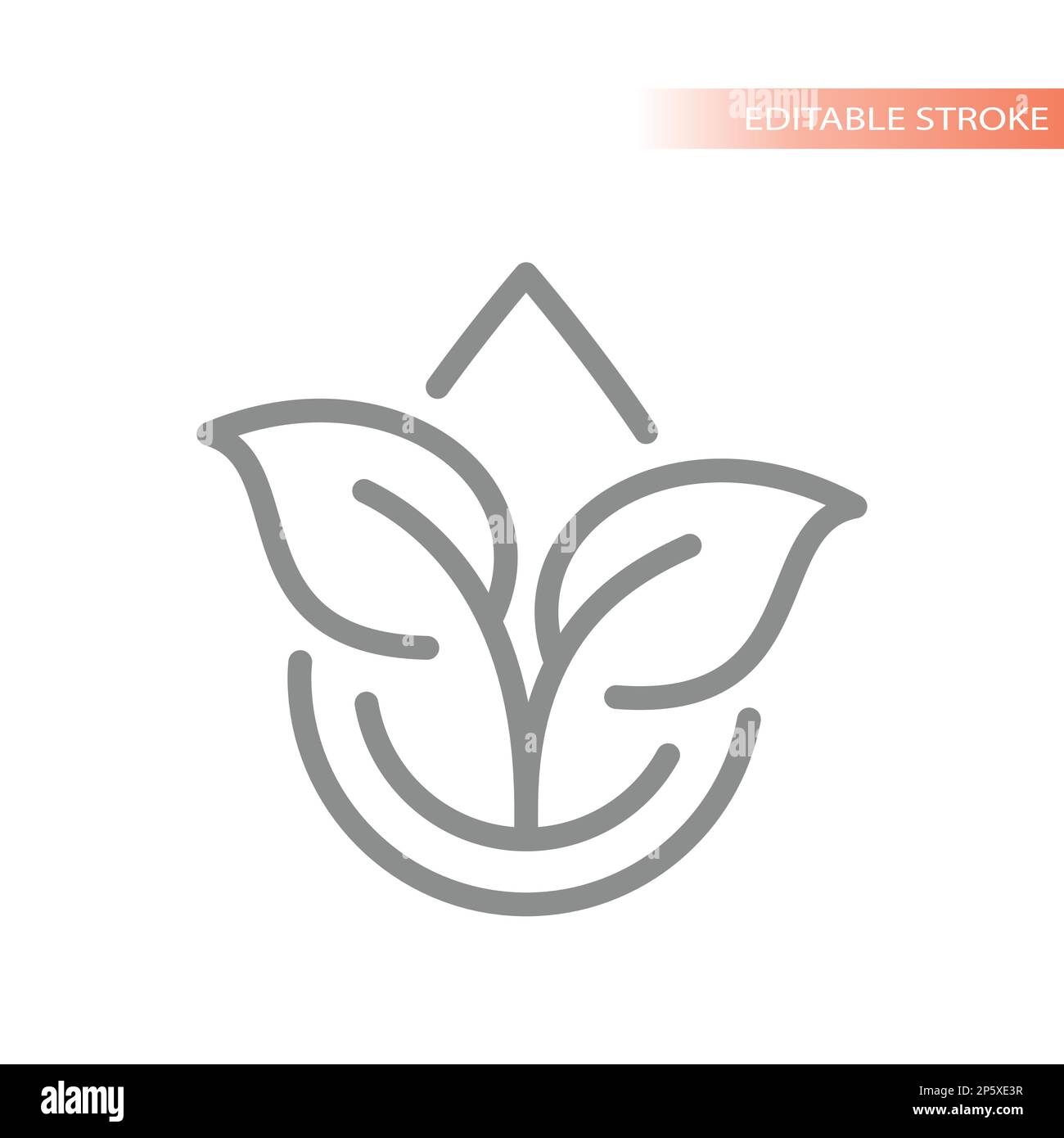 Goccia di olio e foglie, icona vettore linea naturale. Olio vegetale, biologico essenziale o da cucina con simbolo di foglie e gocce. Illustrazione Vettoriale