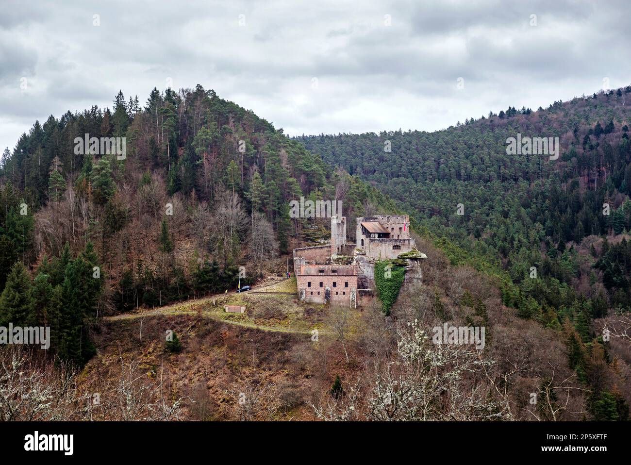 Castello di Spangenberg (Renania-Palatinato) Foto Stock