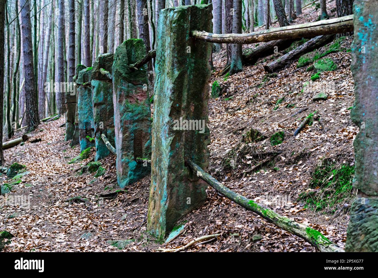 La recinzione ricostruita di cavalli del Castello di Spangenberg (Renania-Palatinato) Foto Stock