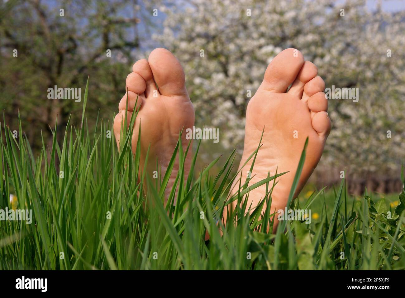 suole dei piedi in un prato Foto Stock
