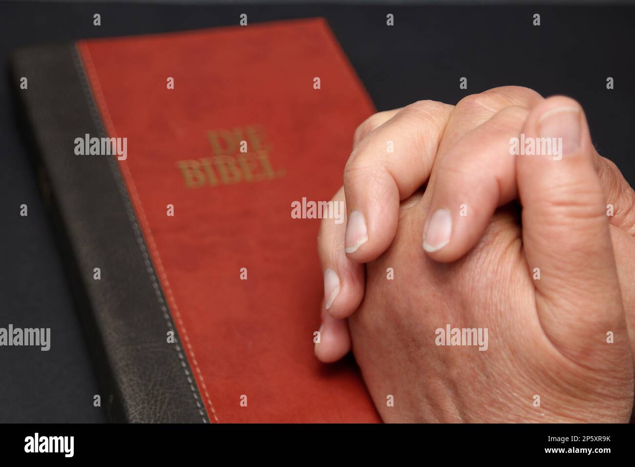 mani piegate su una bibbia Foto Stock