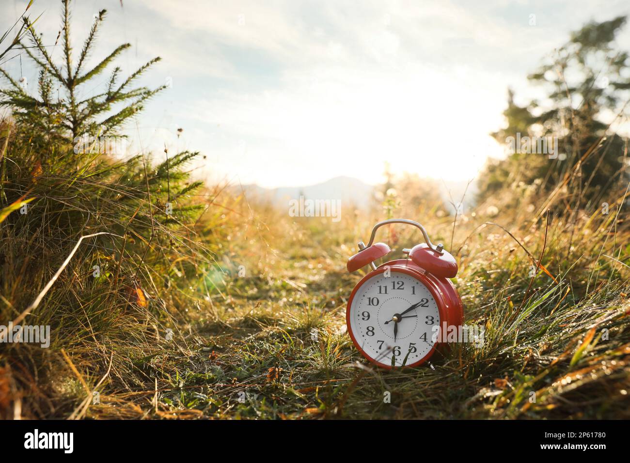 Sveglia rossa sull'erba all'aperto al mattino, spazio per il testo Foto Stock