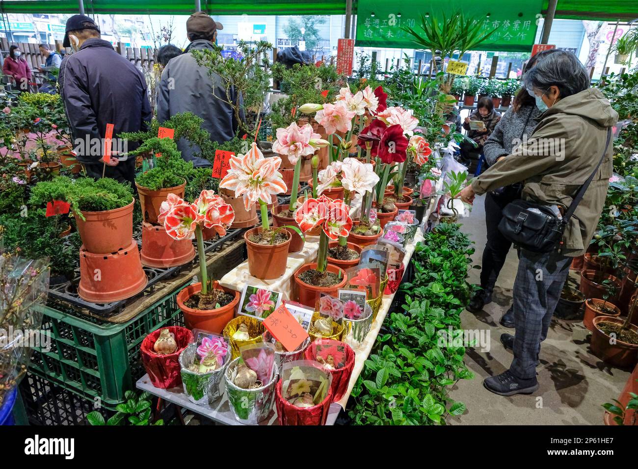 Taipei, Taiwan - 25 febbraio 2023: Una donna che acquista fiori al mercato dei fiori di Jianguo Holiday a Taipei, Taiwan. Foto Stock