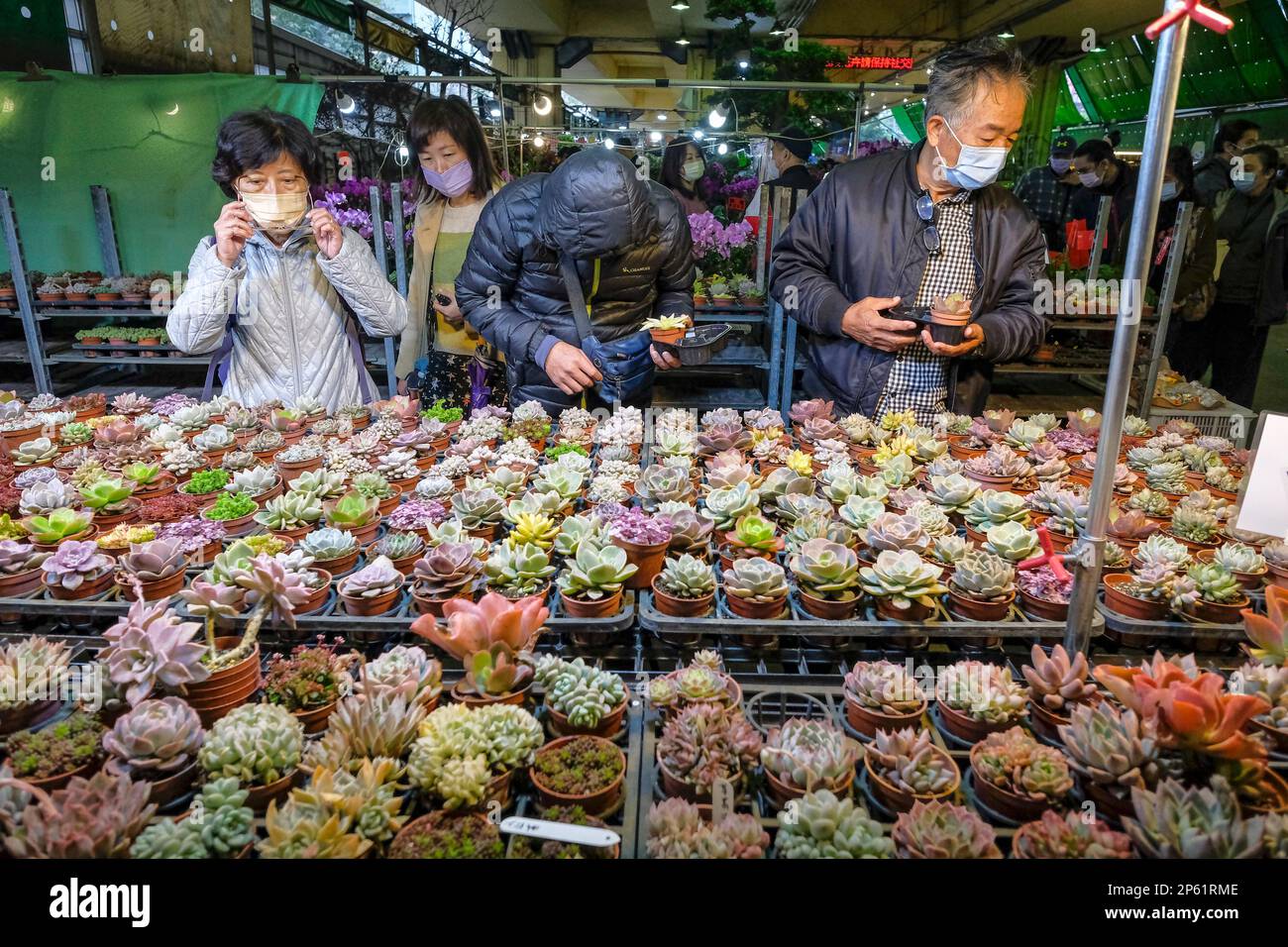 Taipei, Taiwan - 25 febbraio 2023: Persone che acquistano cactus al mercato dei fiori di Jianguo Holiday a Taipei, Taiwan. Foto Stock