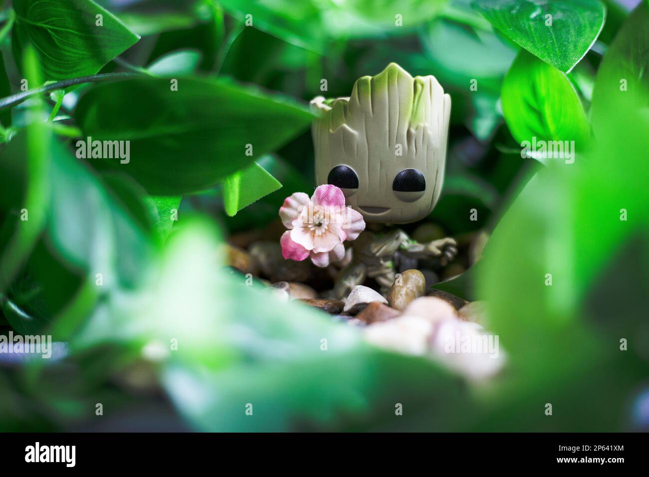 Baby Groot in natura Foto Stock