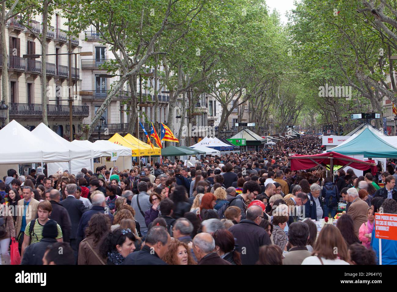 La Rambla,Sant Jordi's Day (23 aprile) ,Barcelona Catalonia,Spagna Foto Stock