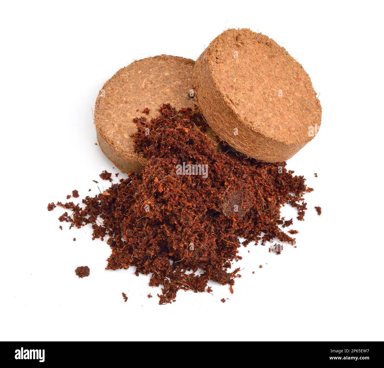 Substrato Coir di cocco. Bricchetti in pigiatura isolati su sfondo bianco. Foto Stock