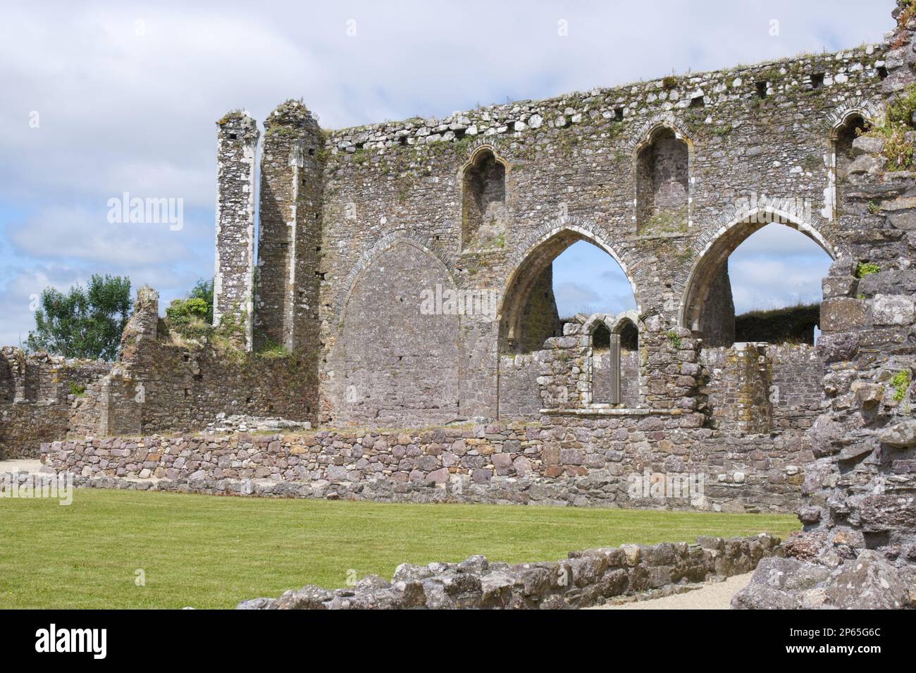 Dunbrody Abbey County Wexford EIRE Foto Stock