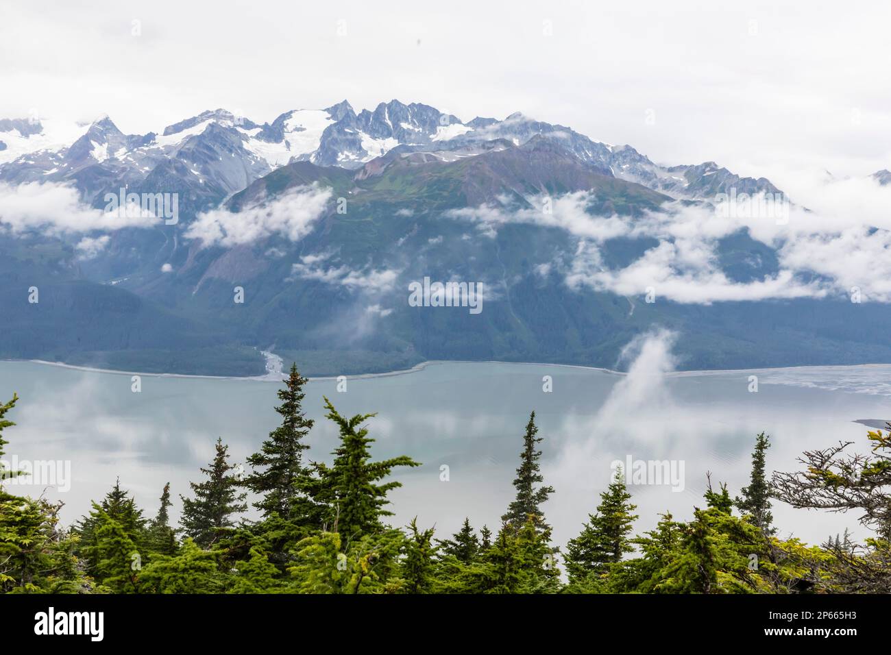 Volo-vedendo da Haines sopra la gamma di Fairweather nel Parco Nazionale di Glacier Bay, Alaska sudorientale, Stati Uniti d'America, Nord America Foto Stock