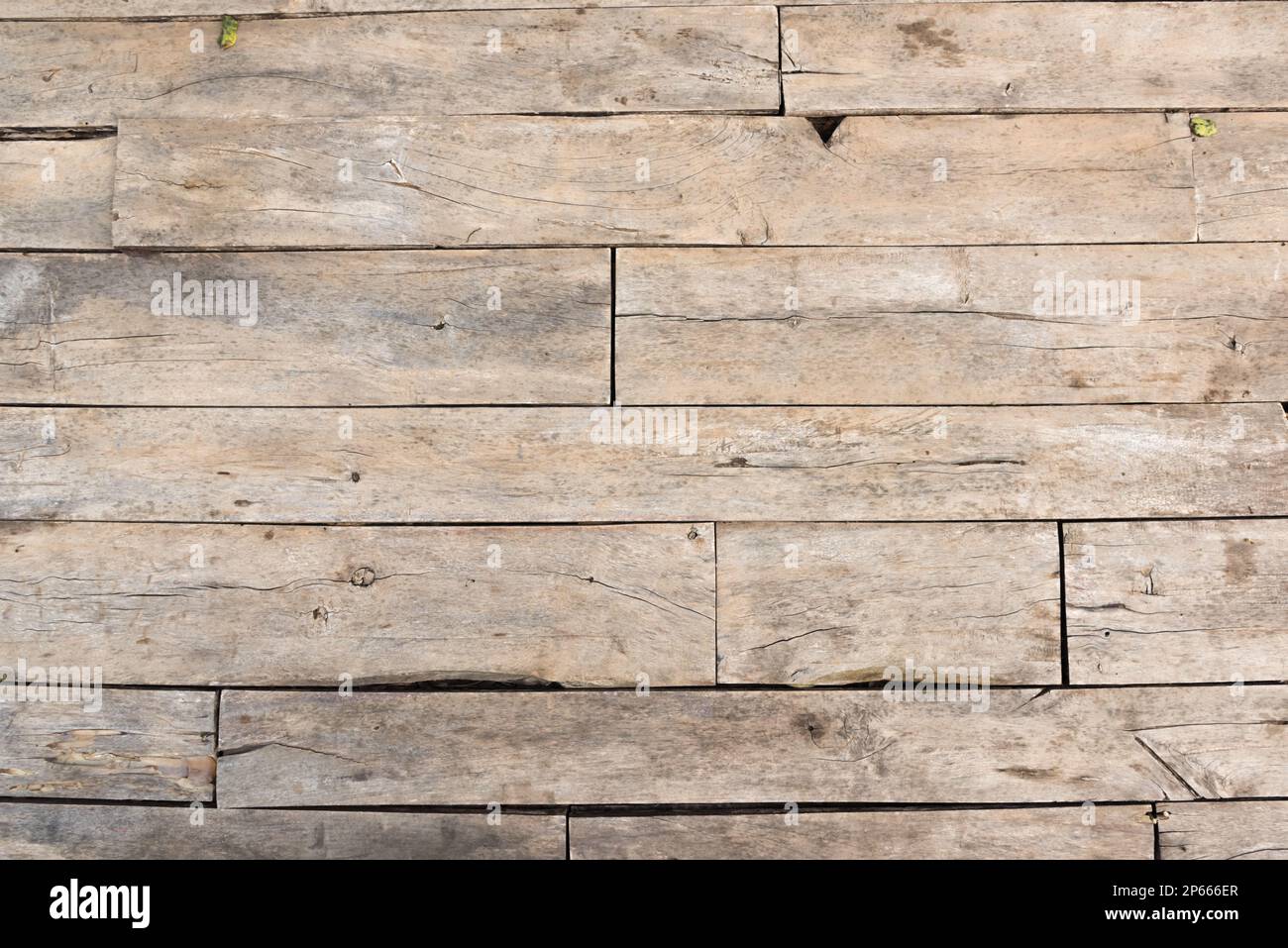 Vecchia superficie di legno intatta con piccole irregolarità Foto Stock