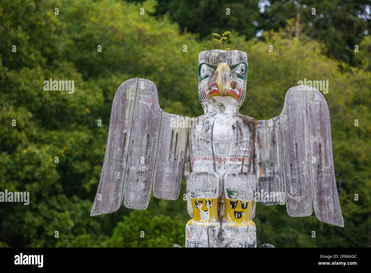 Kwakwaka'wakw totem pali nel cimitero di Alert Bay, Cormorant Island, British Columba, Canada, Nord America Foto Stock
