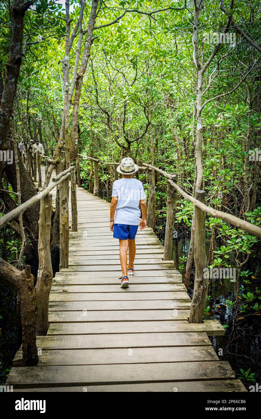 Vista posteriore del giovane ragazzo con cappello camminando su sentiero in legno all'interno del Parco Nazionale della Foresta di Jozani, Zanzibar, Tanzania, Africa Orientale, Africa Foto Stock