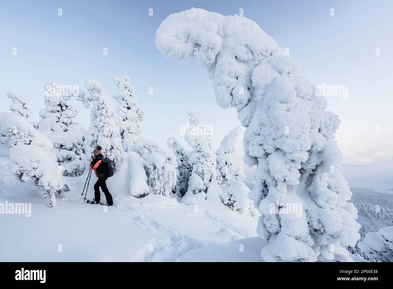 Donna media adulta con racchette da neve che guarda le sculture di ghiaccio avvolte nella neve, Parco Nazionale di Oulanka, Ruka Kuusamo, Lapponia, Finlandia, Europa Foto Stock