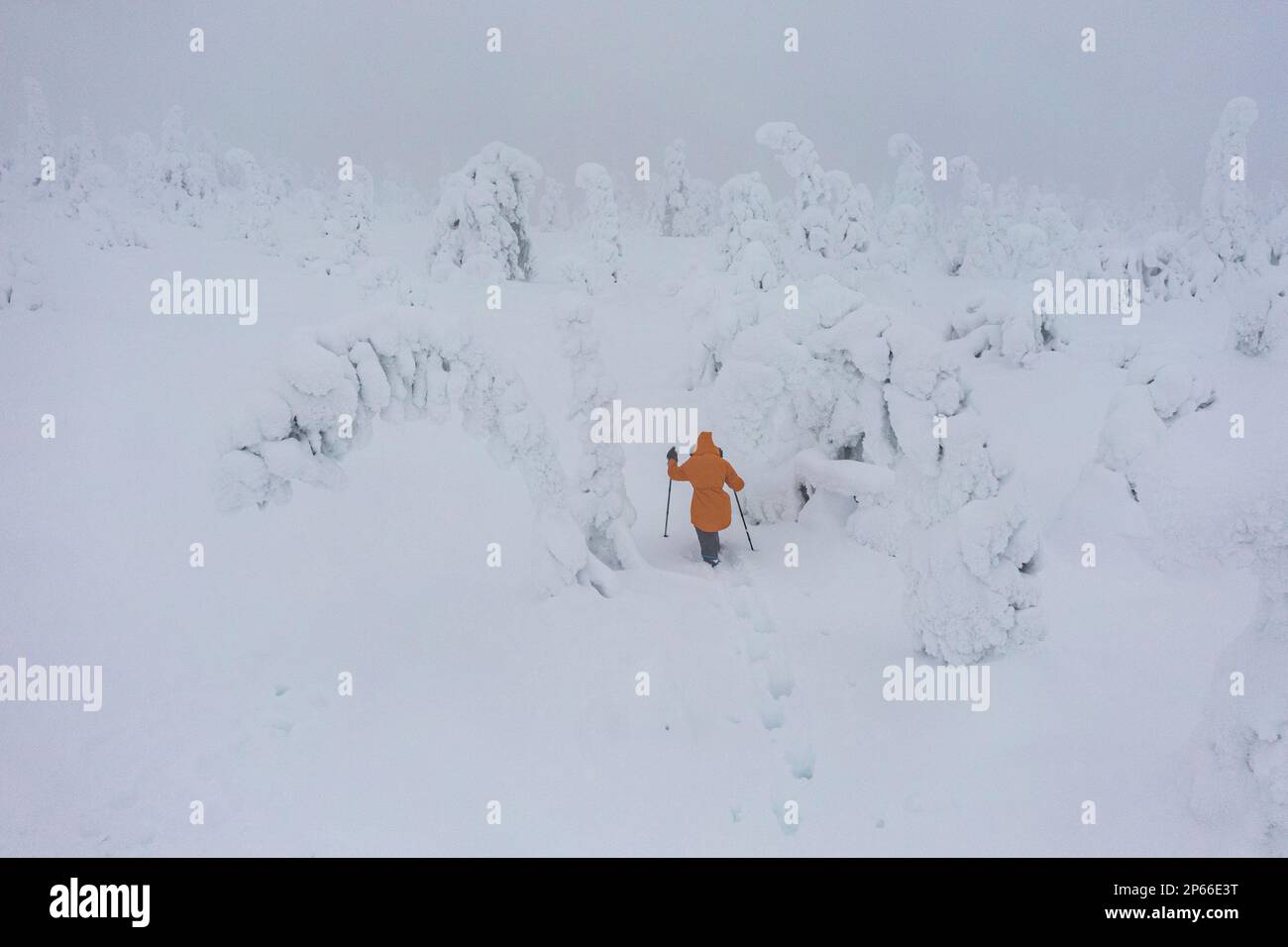 Donna che cammina nella neve profonda sotto il cielo nebbioso nel paesaggio ghiacciato del Parco Nazionale di Riisitunturi, Posio, Lapponia, Finlandia, Europa Foto Stock