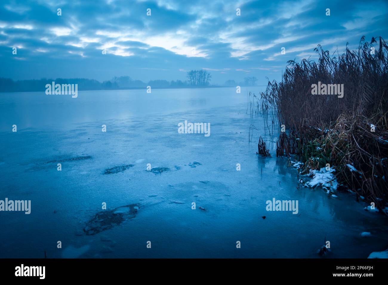 Vista di un lago ghiacciato con canne in una serata nebbia, Stankow, Lubelskie, Polonia Foto Stock