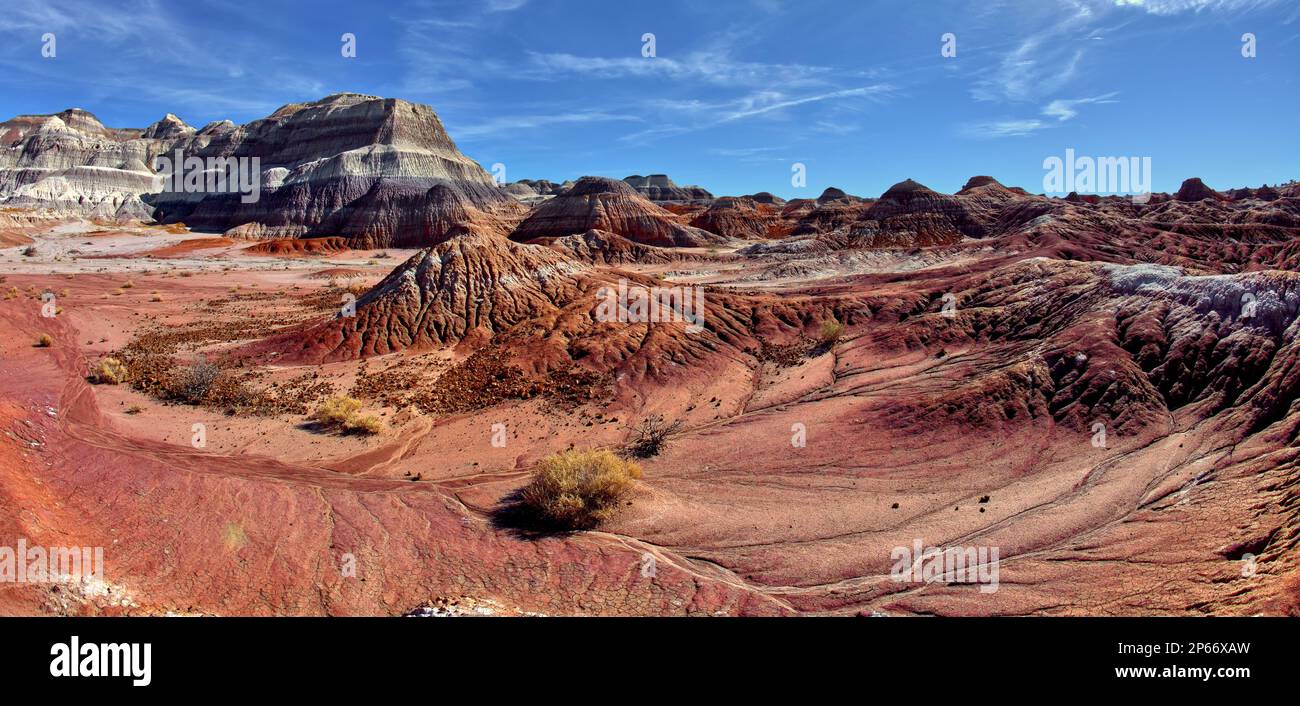 Le colline bentonite rosse del Bacino Rosso nel Parco Nazionale della Foresta pietrificata, Arizona, Stati Uniti d'America, Nord America Foto Stock