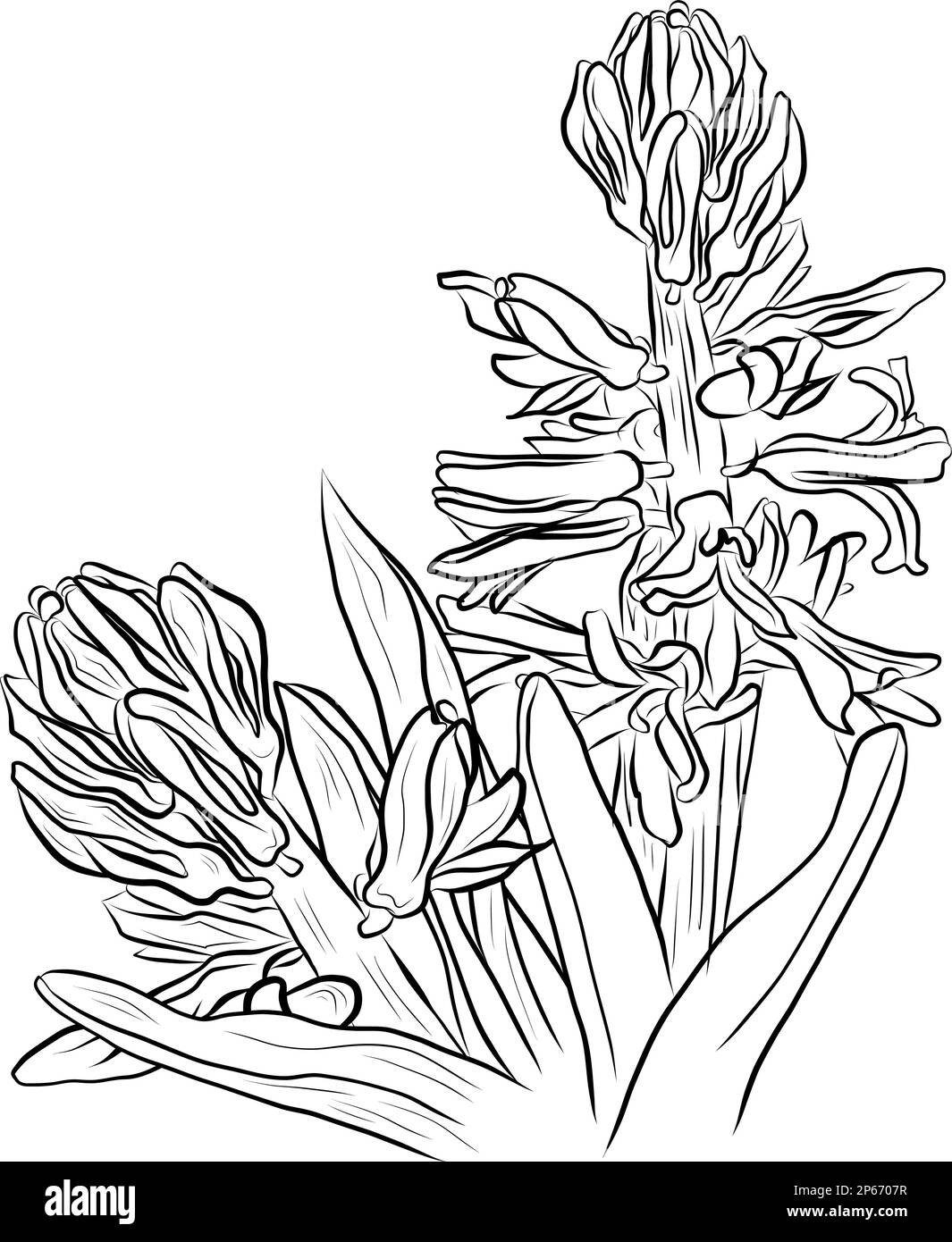 disegno senza cuciture motivo primavera fiori per tessuti casa, asciugamani, puntoni, grembiuli. Può essere utilizzato anche per inviti vintage, scrapbooking, wra Illustrazione Vettoriale disegno senza cuciture motivo primavera fiori per tessuti casa, asciugamani, puntoni, grembiuli. Può essere utilizzato anche per inviti vintage, scrapbooking, wra Illustrazione Vettoriale