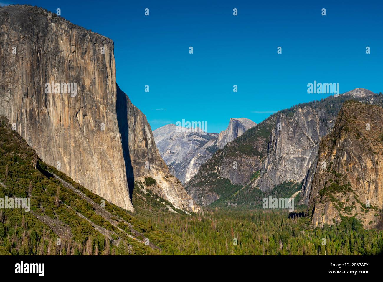 Vista popolare del tunnel della Valle di Yosemite, El Capitan e delle formazioni rocciose di granito Half Dome, Parco Nazionale di Yosemite, UNESCO, California, Stati Uniti Foto Stock