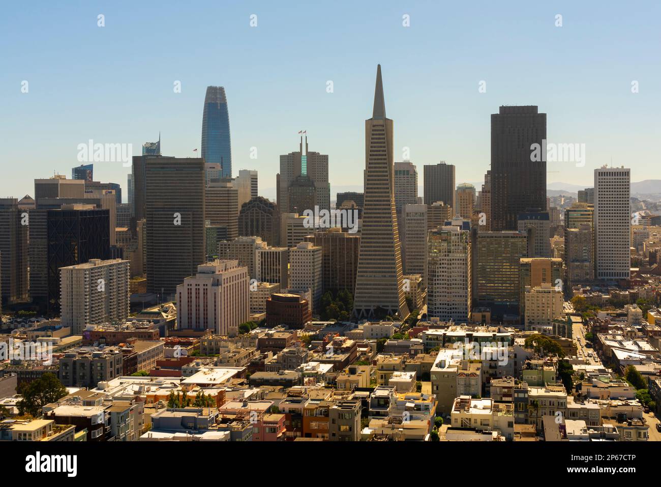 Skyline di San Francisco dominato dall'edificio Transamerica Pyramid visto dalla Coit Tower, San Francisco, California, Stati Uniti d'America Foto Stock