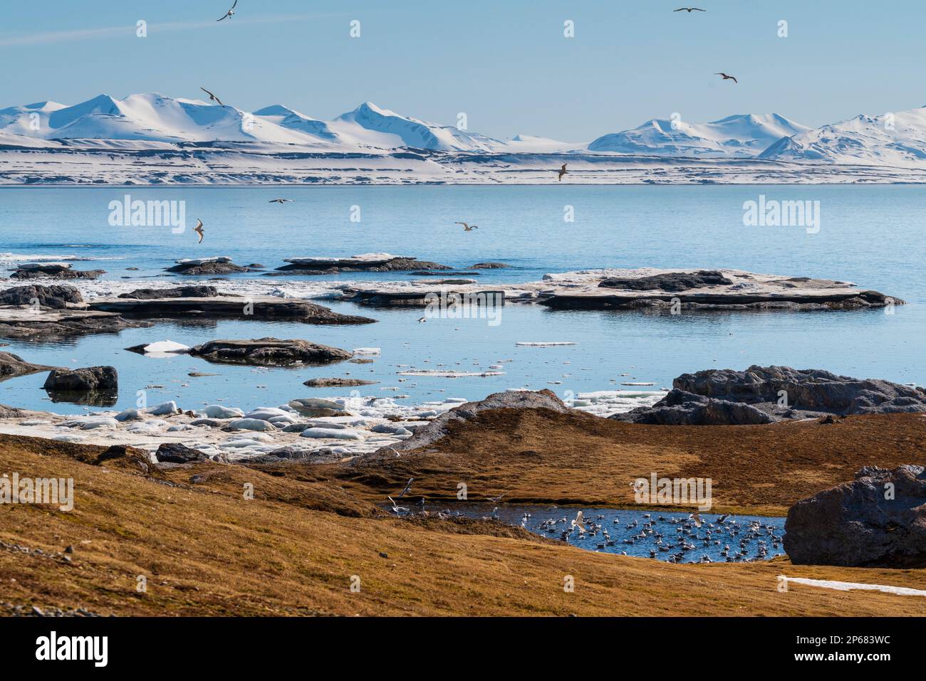 Gnalodden, Spitsbergen, Isole Svalbard, Artico, Norvegia, Europa Foto Stock
