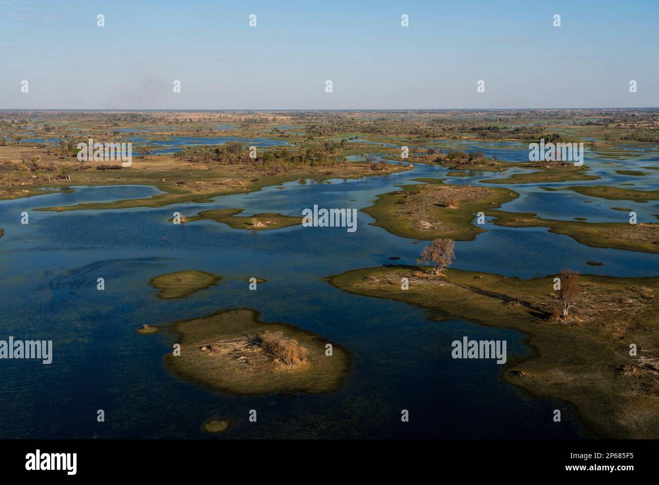 Veduta aerea del Delta dell'Okavango, patrimonio dell'umanità dell'UNESCO, Botswana, Africa Foto Stock