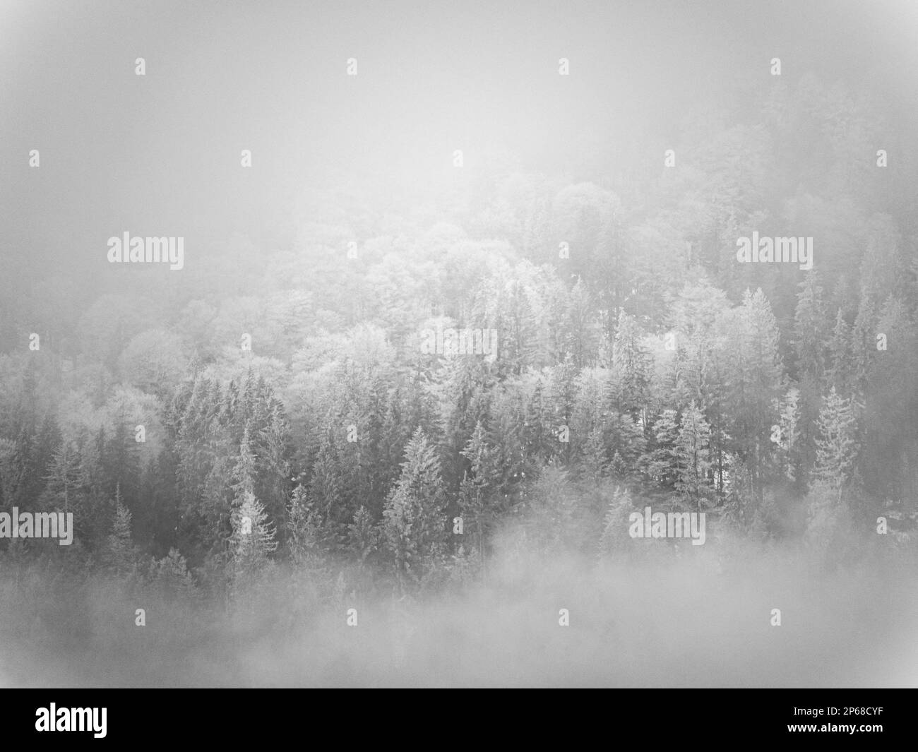 finestra nuvola con vista sulle montagne di bucegi, romania, vicino alla città di busteni Foto Stock