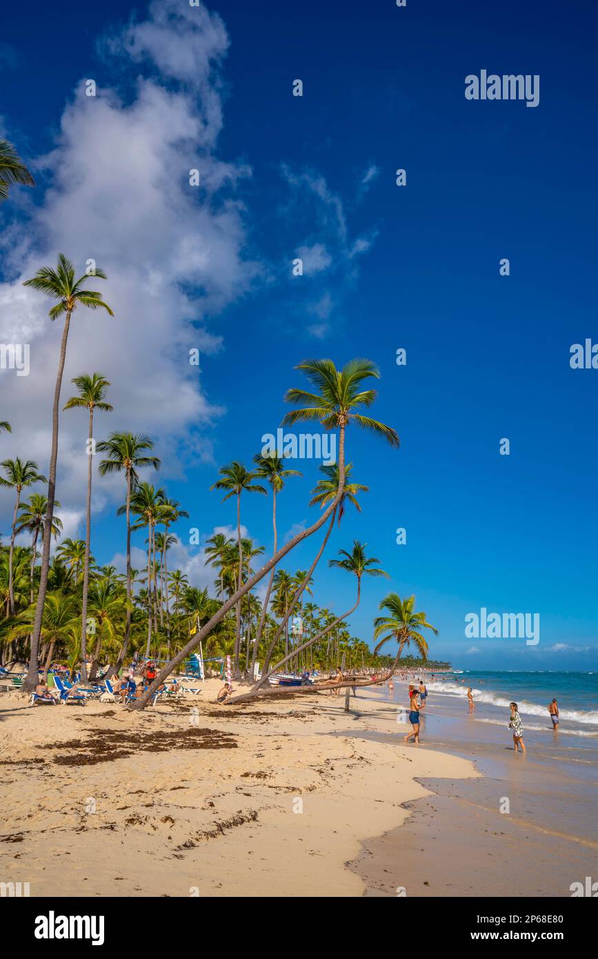 Vista del mare, della spiaggia e delle palme in una giornata di sole, Bavaro Beach, Punta Cana, Repubblica Dominicana, Indie Occidentali, Caraibi, America Centrale Foto Stock