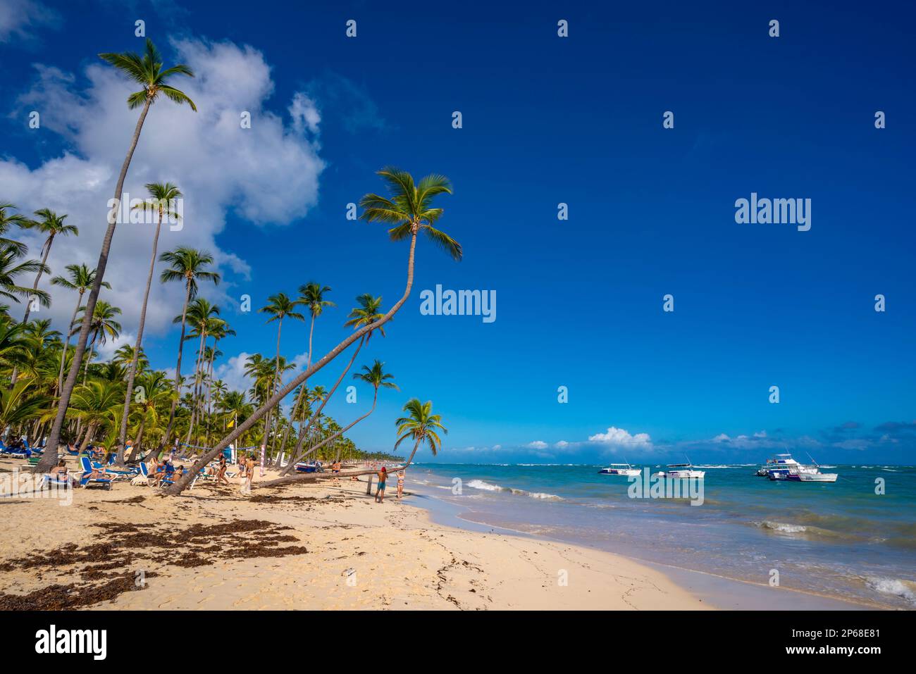 Vista del mare, della spiaggia e delle palme in una giornata di sole, Bavaro Beach, Punta Cana, Repubblica Dominicana, Indie Occidentali, Caraibi, America Centrale Foto Stock
