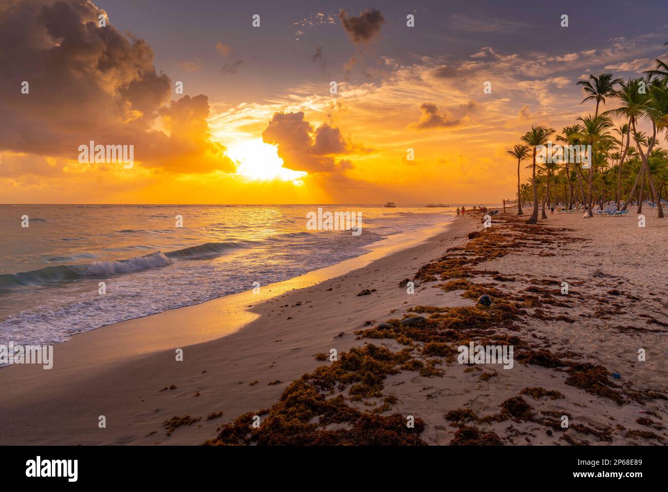 Vista del mare, della spiaggia e delle palme all'alba, Bavaro Beach, Punta Cana, Repubblica Dominicana, Indie Occidentali, Caraibi, America Centrale Foto Stock