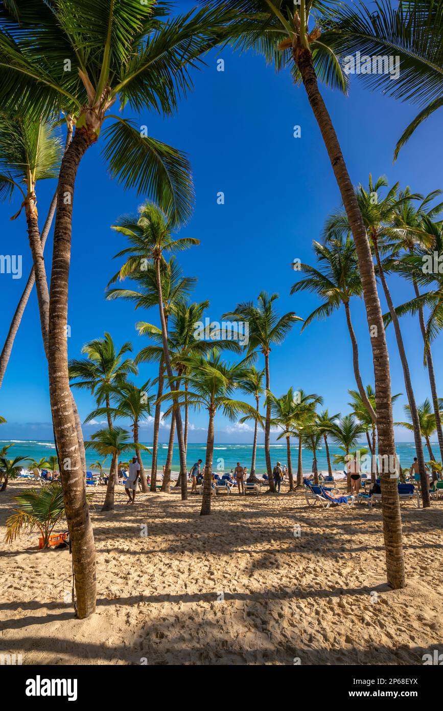 Vista del mare, della spiaggia e delle palme in una giornata di sole, Bavaro Beach, Punta Cana, Repubblica Dominicana, Indie Occidentali, Caraibi, America Centrale Foto Stock