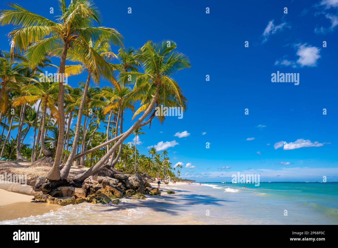 Vista delle palme e del mare a Bavaro Beach, Punta Cana, Repubblica Dominicana, Indie Occidentali, Caraibi, America Centrale Foto Stock
