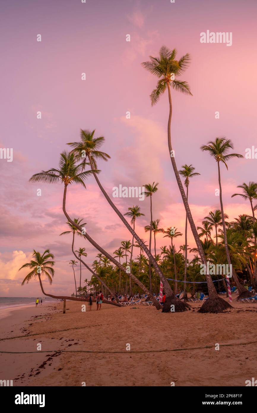 Vista delle palme e del mare a Bavaro Beach al tramonto, Punta Cana, Repubblica Dominicana, Indie Occidentali, Caraibi, America Centrale Foto Stock