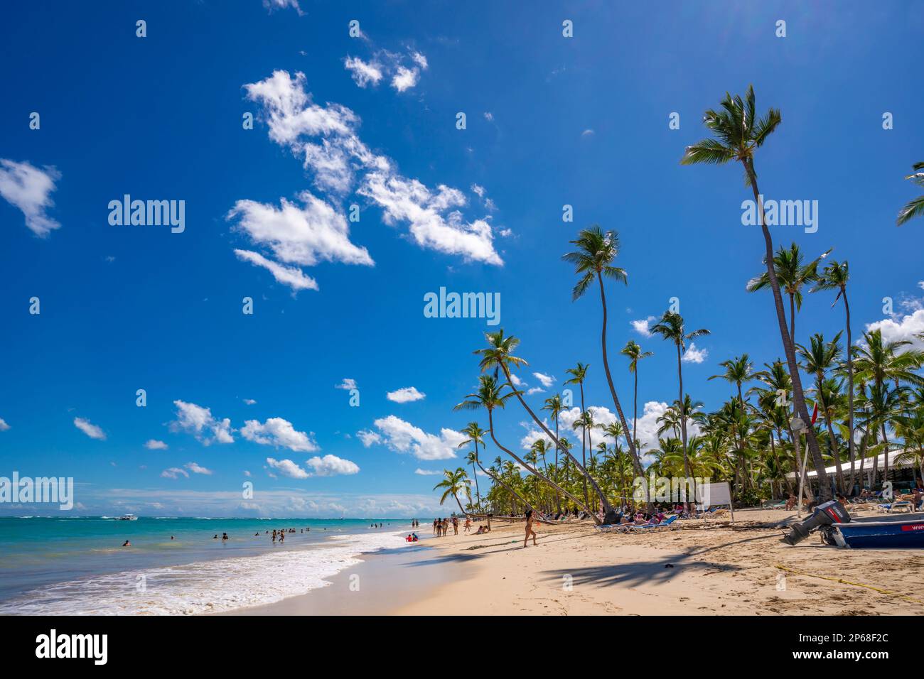 Vista delle palme e del mare a Bavaro Beach, Punta Cana, Repubblica Dominicana, Indie Occidentali, Caraibi, America Centrale Foto Stock