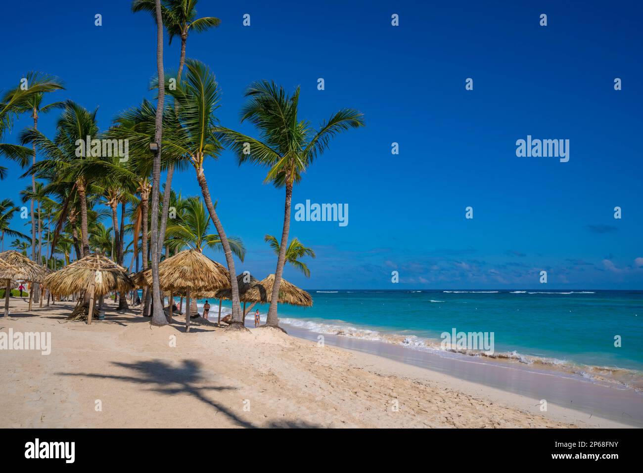 Vista di palme su Bavaro Beach, Punta Cana, Repubblica Dominicana, Indie Occidentali, Caraibi, America Centrale Foto Stock