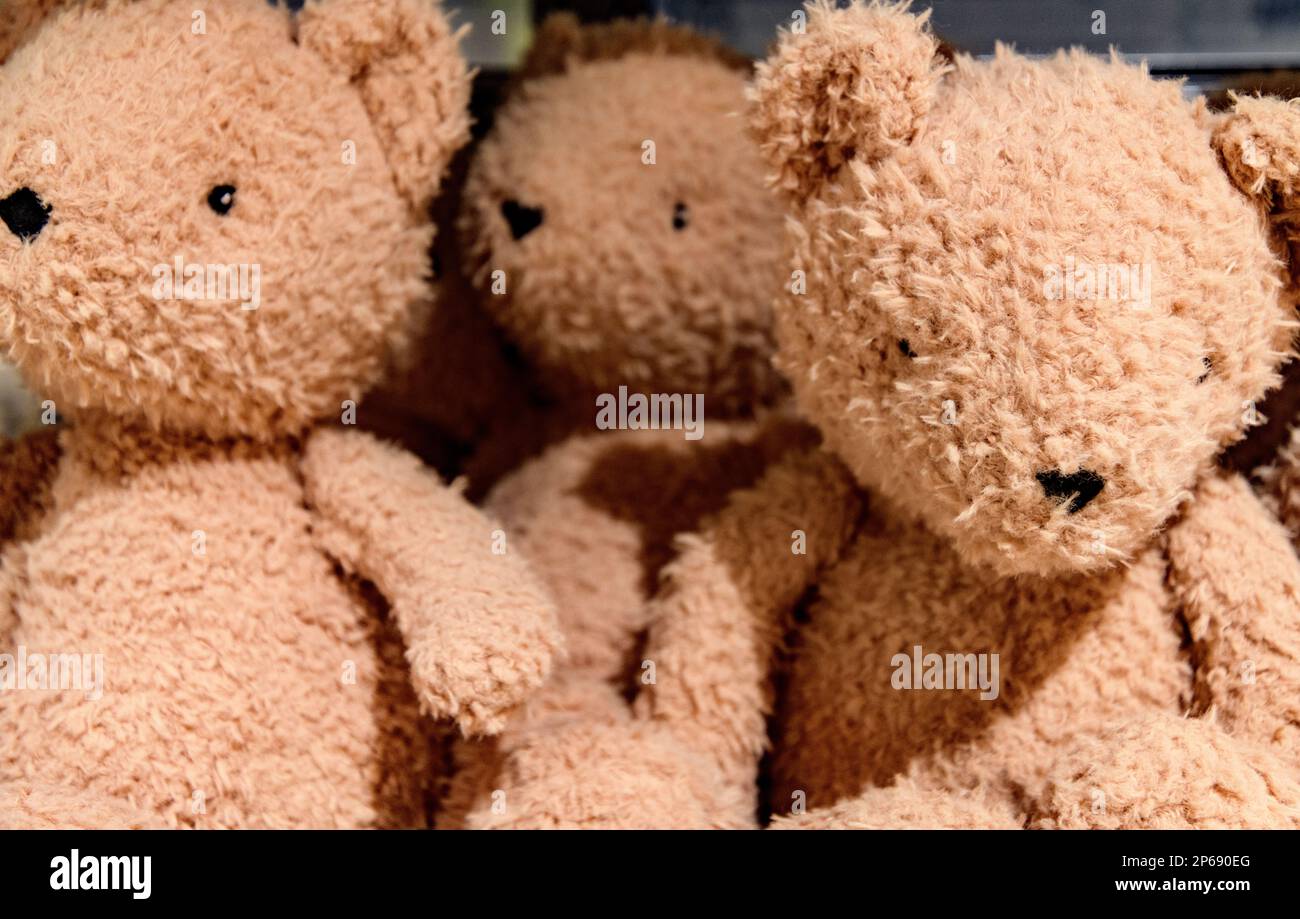 Giocattoli imbottiti o orsi in vendita in negozio Foto Stock