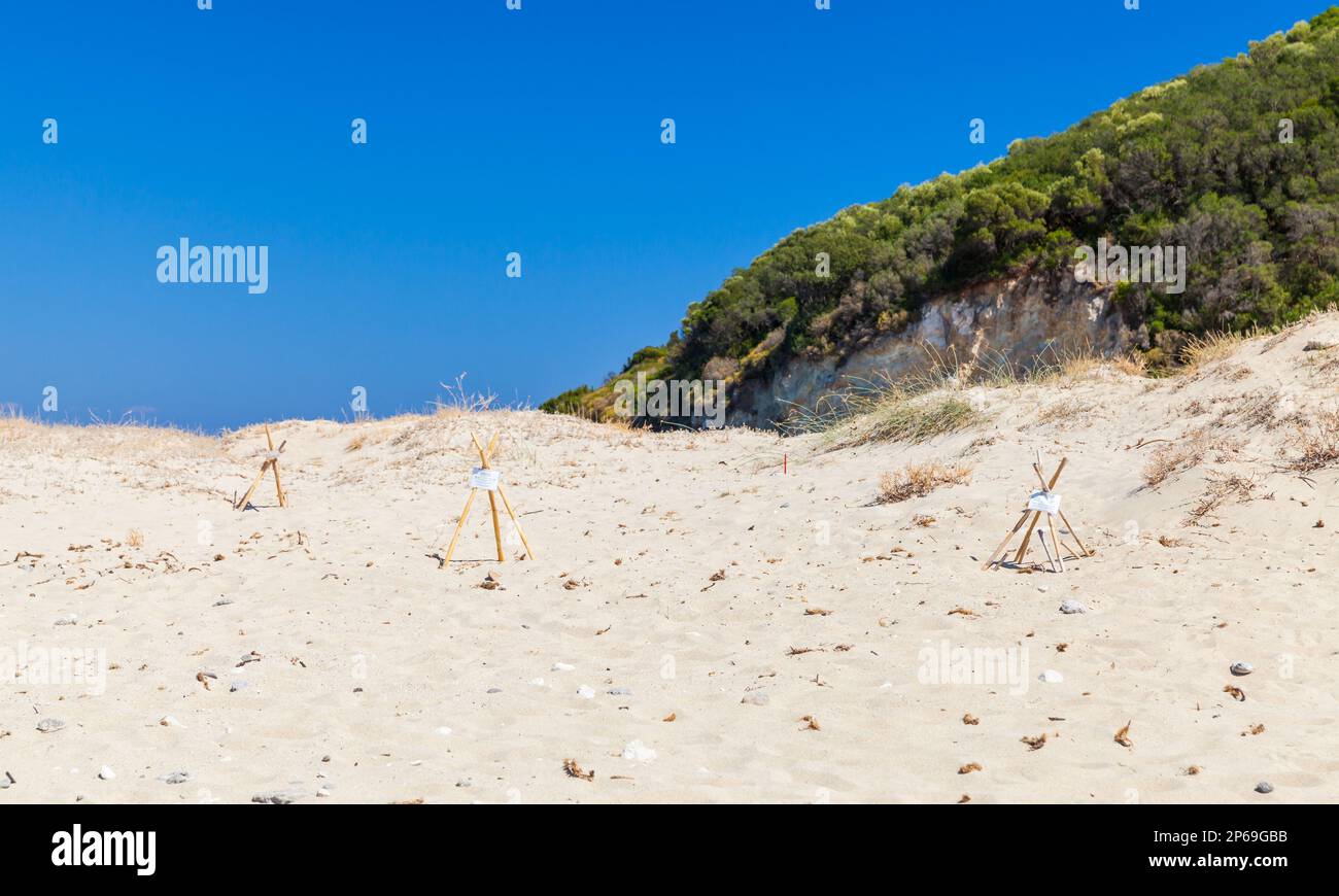 Strutture protettive nelle sabbie dei siti di nidificazione per le tartarughe ovaiole. Paesaggio estivo soleggiato dell'isola di Zante Foto Stock