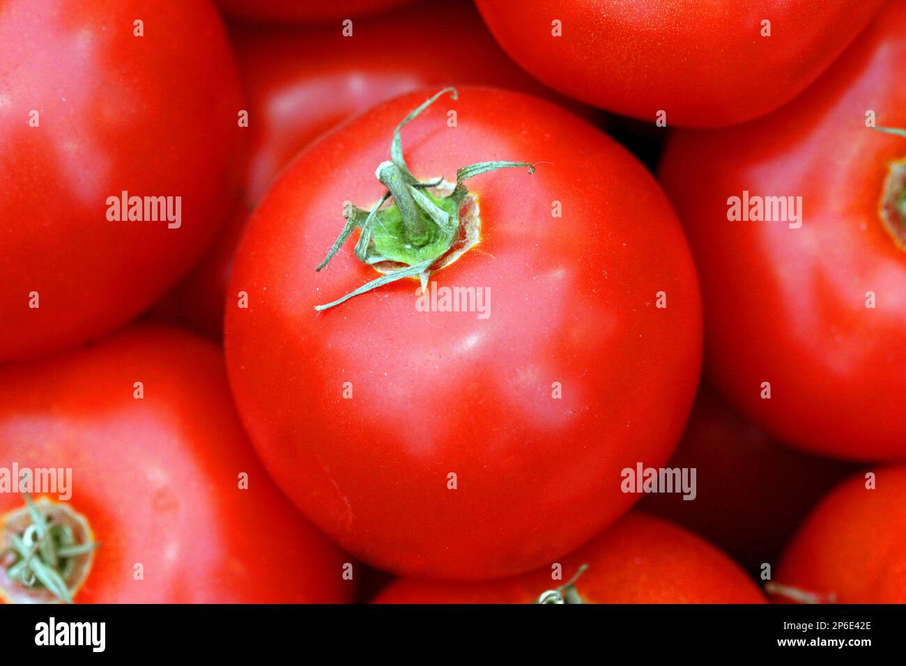 Immagine macro full frame di un pomodoro rosso insalata (Solanum Lycopersicum) Foto Stock