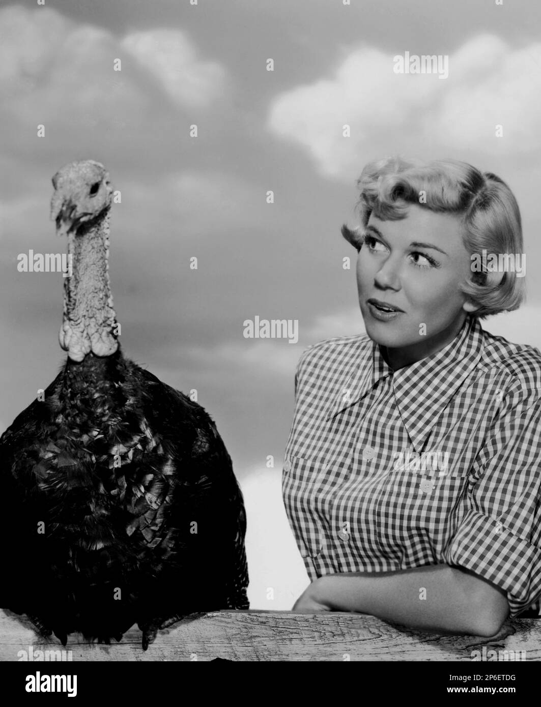 1952 ca : l'attrice e cantante DORIS DAY ( vero nome Doris Mary Ann Kappelhoff , nato il 3 aprile 1924 Cincinnati, Ohio, USA ) in un film di publicity Still - FILM - film - attrice cinatografica - bionda - bionda - quadretti - turchia - tacchino --- Archivio GBB Foto Stock